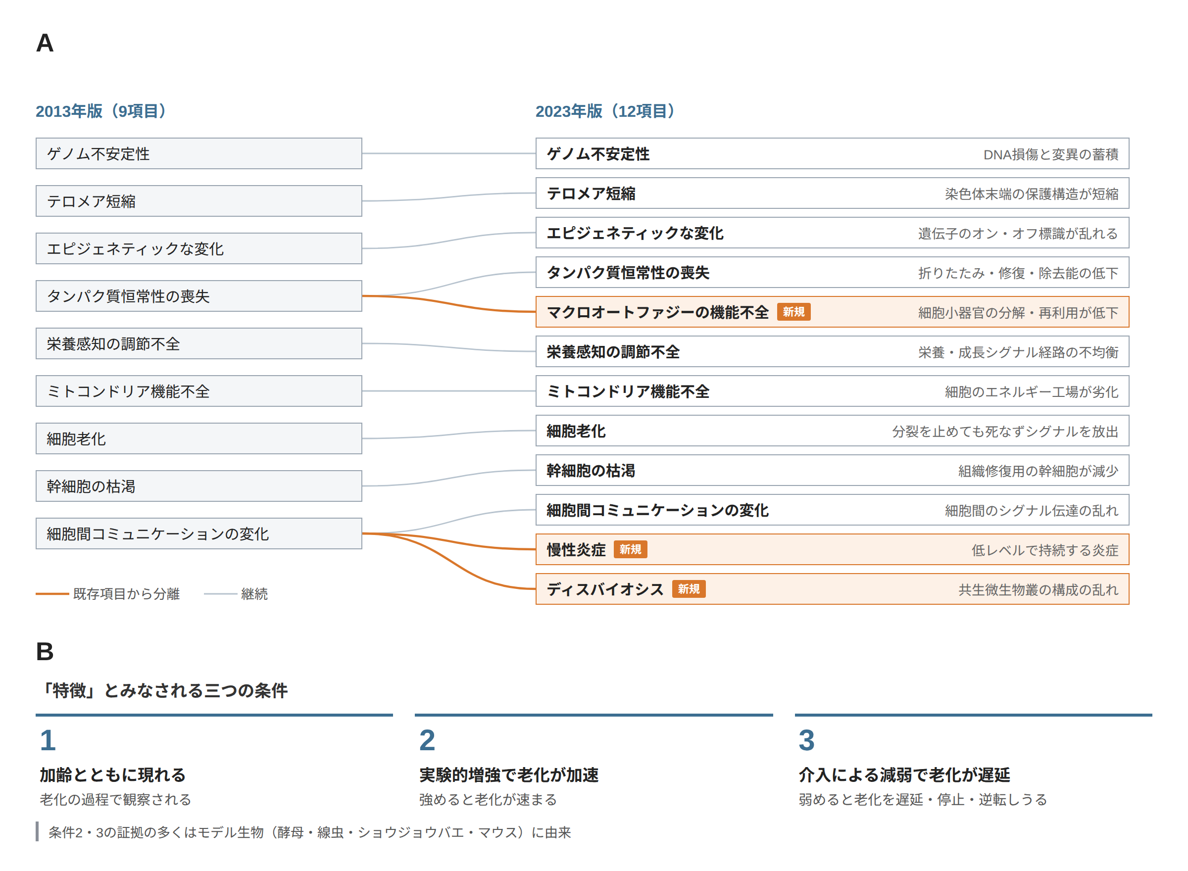 老化の特徴の変遷と入選条件：左側の2013年版九項目が右側の2023年版十二項目へと対応する線で結ばれており、マクロオートファジーの機能不全はタンパク質恒常性の喪失から、慢性炎症とディスバイオシス（微生物叢の失調）は細胞間コミュニケーションの変化から切り出されている。下部には特徴として認められる三つの条件が示されている。