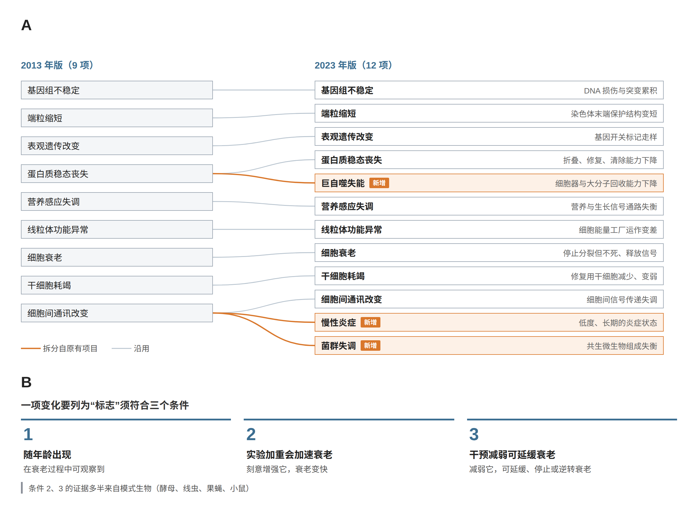 老化标志的演变与入选条件:左侧 2013 年版九项以连线对应到右侧 2023 年版十二项,其中巨自噬失能拆自蛋白质恒定丧失,慢性发炎与菌相失调拆自细胞间沟通改变;下方列出列为标志的三个条件。