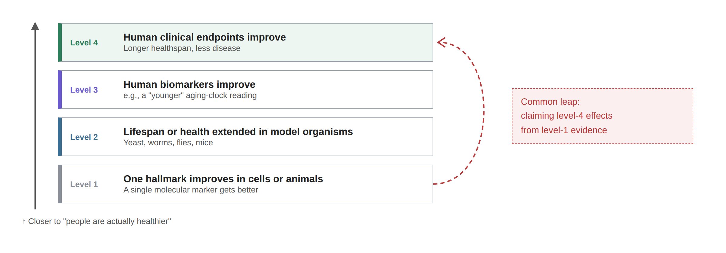Evidence ladder, bottom to top: improvement in a single hallmark in cells or animals; extended lifespan or healthspan in a model organism; improvement in a human biomarker; improvement in a human clinical endpoint. A red dashed line marks the common leap from first-rung evidence to fourth-rung claims.