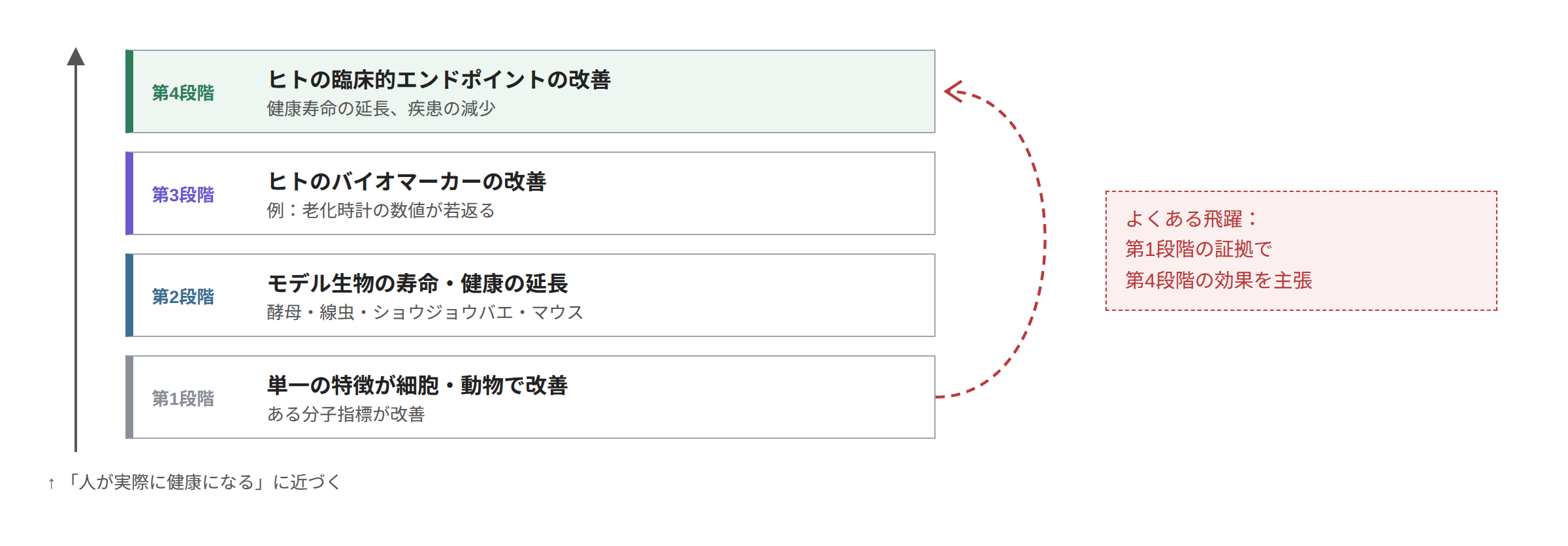 証拠の階段：下から順に「細胞または動物における単一特徴の改善」「モデル生物における寿命・健康の延長」「ヒトにおける生物指標の改善」「ヒトにおける臨床エンドポイントの改善」。赤い点線は、第一段の証拠だけで第四段の効果を主張する一般的な飛躍を示す。